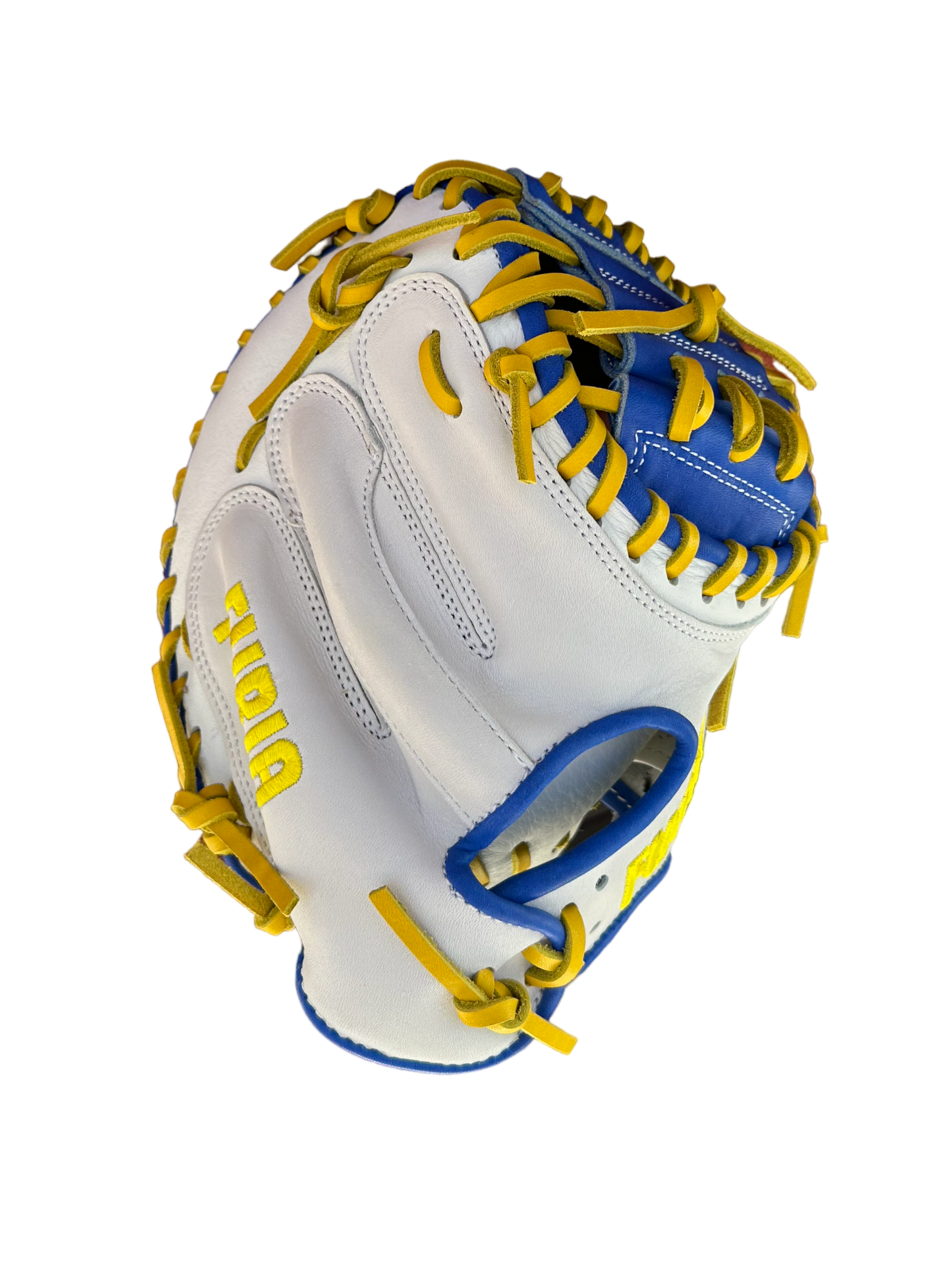 Catchers Training glove