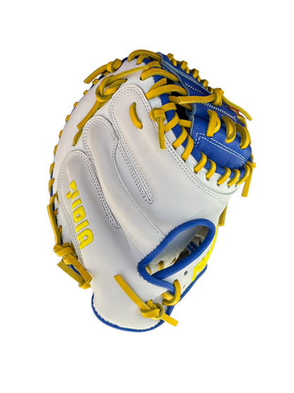 Catchers Training glove